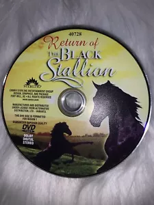 Return Of The Black Hengst (DVD, 2004) DISC NUR VA5 - Bild 1 von 1