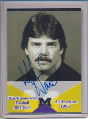 TK LEGACY MICHIGAN ALL AMERICAN AUTO MIKE HAMMERSTEIN AA08 - Image 1 of 2