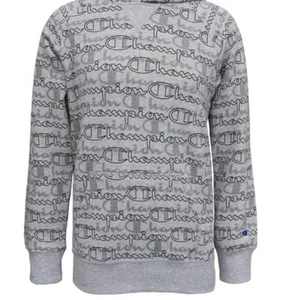 0367 NEW BOYS CHAMPION GRAY Sweater - Picture 1 of 4