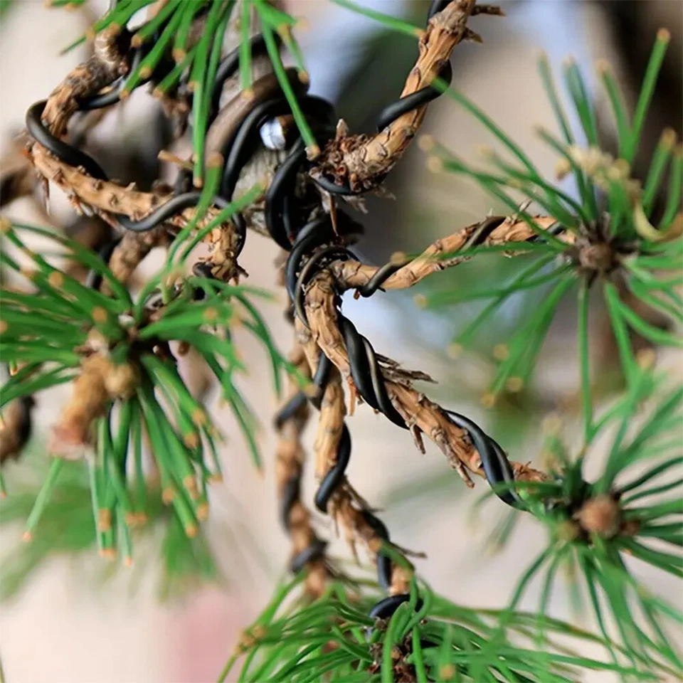 Nueva herramienta de entrenamiento de rama de árbol de bonsái de alambre de aluminio anodizado 16 pies Foto 1 de 1