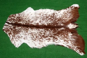 Neu Ziegenfell Teppich Haar auf Fläche Teppich Größe 34"x22" Tierleder Ziegenfell G-432 - Bild 1 von 3