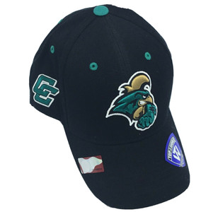 Coastal Carolina Chanticleers NCAA Fan 