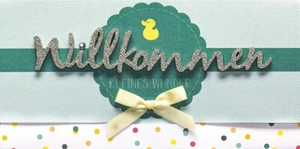 Geburt – Baby – Freudiges Ereignis - Lettering Surprise - Geldgeschenkkarte-Guts - Bild 1 von 9