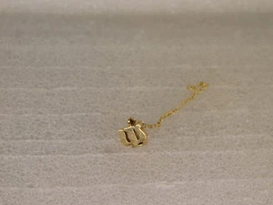 Vintage 10K Gold Psi Bruderschaft Schwesternschaft Kapitel Garde Pin mit Kette - Bild 1 von 4