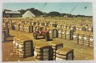 Vintage Postcard A Deep South Card Bales of Cotton with Cotton Gin in Background