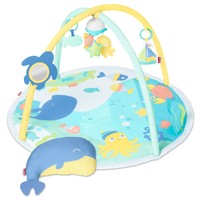 my ocean friends play gym