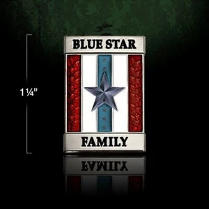 PIN SOLAPA MILITAR SERVIDO MIEMBRO DE LA FAMILIA ESTRELLA AZUL  - Imagen 1 de 1