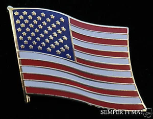 PRESIDENTE DONALD TRUMP 2020 INAUGURACIÓN BANDERA DE ESTADOS UNIDOS SOLAPA SOMBRERO PIN PRESIDENCIAL DE ESTADOS UNIDOS - Imagen 1 de 24