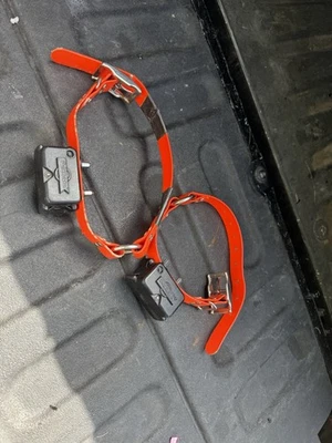 PAR 2 VALLAS de amortiguador receptor inalámbrico PetSafe para perros Foto 1 de 4