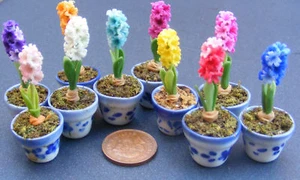 Dolls House Hyacinth Flower In A Ceramic Pot 1:12 Scale Accessory ML tumdee - Picture 1 of 15