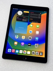 Apple iPad Pro 1st Gen. 256GB, Wi-Fi Only, 9.7 in - Space Grey - ref: 457 - Picture 1 of 7