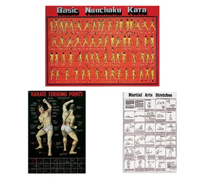 Martial Arts Posters, Karate Striking Basic Nunchaku Kata Stretches Poster - Picture 1 of 5