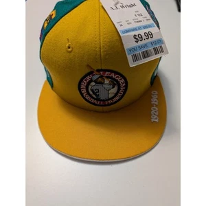 Negro Leagues Baseball Museum 100% Wool Size 7 1/2 Fitted Hat New With Tags - Picture 1 of 5