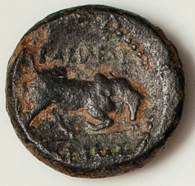 SELEUCID KINGDOM Seleukos I Nikator MEDUSA & Bull 312 BC Ancient Greek Coin D392 - Image 1 of 2