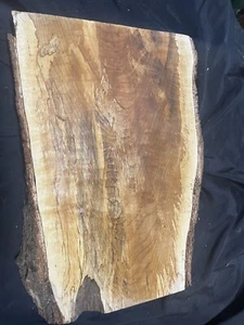 Spalted Alder 1-piece guitar body blank     #3 - Picture 1 of 15