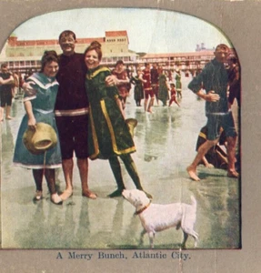 1900s A MERRY BUNCH, ATLANTIC CITY Bulldog Swimsuits Seaside STEREO VIEWER CARD - Bild 1 von 6