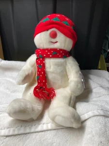 TY BEANIE BUDDY, SnowBoy - Picture 1 of 2