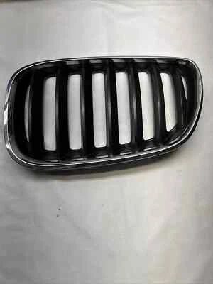 BMW X5 2006 parrilla delantera superior izquierda conductores 51137113737 OEM Foto 1 de 4