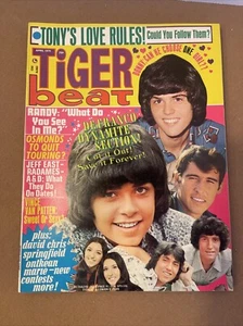 Tiger Beat Magazin April 1974 Donnie Osmond Randy Vincent Van Patten 18 - Bild 1 von 10