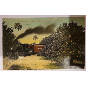 Un viaje por la tierra de naranjas y palmeras - Postal C. 1907-1915 - Imagen 1 de 2