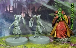 Dungeons & Dragons - Fantasy Miniature - Bloodborne - 1 Torture Jester - Picture 1 of 1