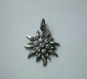 Grande STELLA ALPINA . EDELWEISS ciondolo in ARGENTO 925 Brunito sterling silver - Imagen 1 de 1