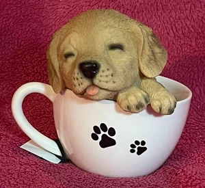 Teacup Pup Stone & Cold Cast Ceramic Golden Retriever NEW in Box! - Picture 1 of 9
