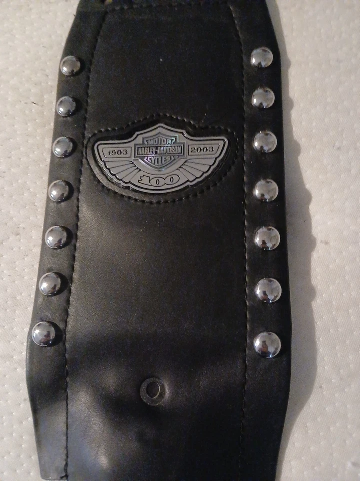 Harley Davidson 100 aniversario Foto 1 de 3