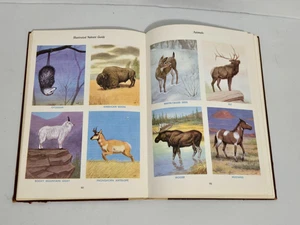 Hammond’s Illustrated Nature Guide by E.L. Jordan (1955 Hardcover) - Picture 1 of 7