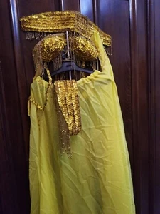 Professional Belly Dance Dress Costume, best belly dance egypt - Picture 1 of 24
