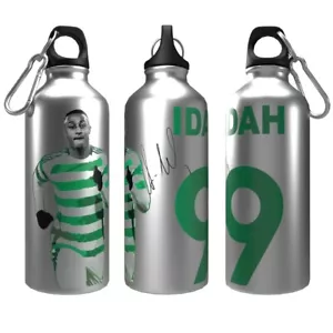 Celts Bottle Idah 2-Lid Aluminium 600 or 750ml Silver - Picture 1 of 7