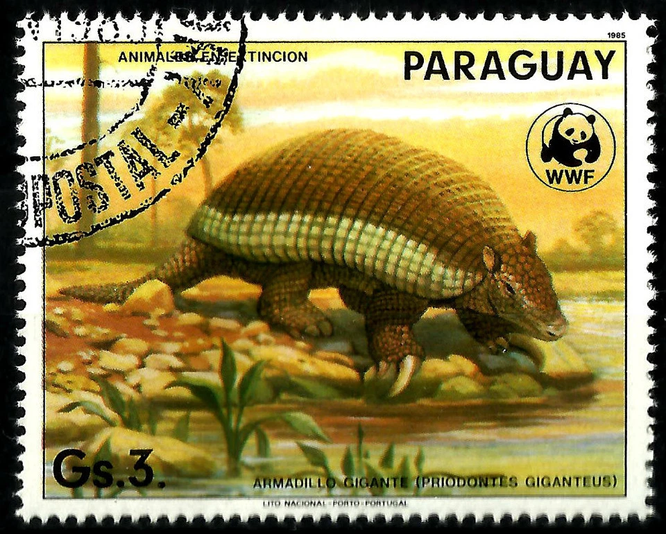 ARMADILLO GIGANTE (Priodontes giganteus), AÑO 1985, WWF. Foto 1 de 1