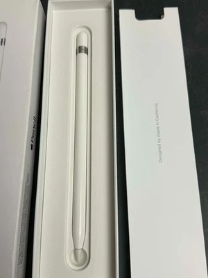 Apple Pencil (1ª Generación) con Adaptador USB-C a Apple Pencil iPad Stylus Foto 1 de 4