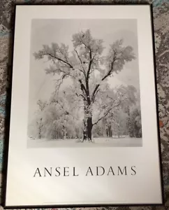 ANSEL ADAMS 25.5x36 Oak Tree, Snowstorm, Yosemite National Park, California 1984 - Picture 1 of 4
