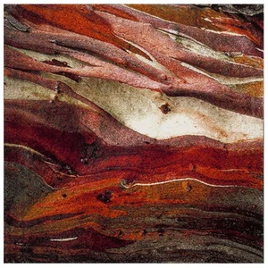 Safavieh Glacier Collection Area Rug Square Red/Multi 6'-7" X 6'-7" - Picture 1 of 1