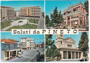 PINETO - TERAMO - VIAGG. 1971 -98779- - Picture 1 of 1