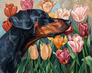 8x10 Matte Print Doberman Pinscher in Tulip Field - Picture 1 of 4
