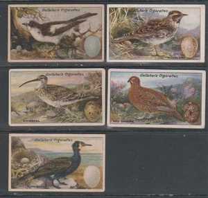 CIGARETTE CARDS Gallaher 1919 Birds, Nests & Eggs - (5 cards) 50,51,52,54,56 - Picture 1 of 2