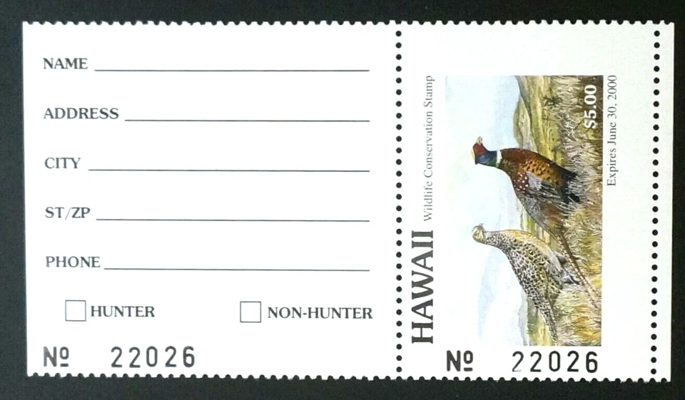 1999 Hawaii Wildlife Conservation "Hunter" Duck Stamp, HI4, Ring-necked Pheasant - Image 1 of 2