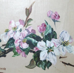 Lindner Hanns ? Stilleben Obstblüte Apfelblüte Apfelbaum rosa Blüten Zweig - Bild 1 von 9