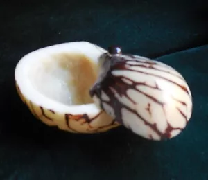 Tagua Nut Palm Ivory Ring Keepsake Pill Box Secret Stash Keepsake Trinket Case - Picture 1 of 9