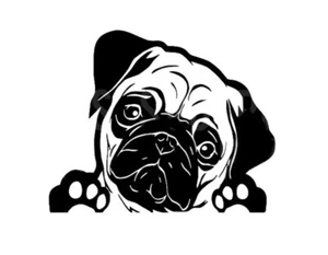 French Bulldog Peeking Car Vinyl Decal, cute dog car graphic window accessory - Picture 1 of 3