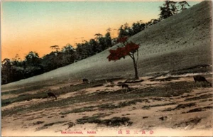 Postcard Mikayasama Nara - Picture 1 of 2