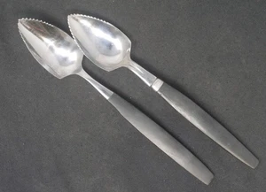 Stainless Steel Grapefruit Spoon Set of 2 - Picture 1 of 1