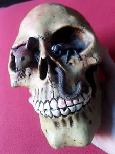 PIGGY BANK HUCHA SKULL CRÁNEO CALAVERA TERROR CON RATÓN MOUSE CUCARACHA GUSANO.. - Imagen 1 de 12