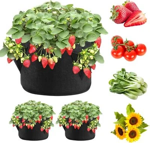 iPower Strawberry Grow Bags 3 Gallon 2-Pack, Planter Pots with 6 Side Growth Poc - Picture 1 of 7