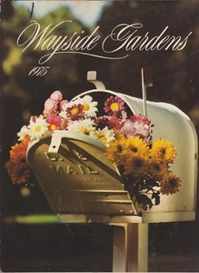 WAYSIDE GARDENS *1975* CATALOG 1975 - Imagen 1 de 1