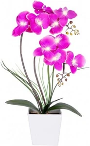HOMESEASONS Pre-Lit Artificial Orchid Arrangement, LED Orchid Plant with 9 - Picture 1 of 3