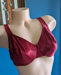 NWOT Vtg Vassarette Bra 36C Second Skin Satin Zebra 75-440 Underwire Unlined - Picture 1 of 7