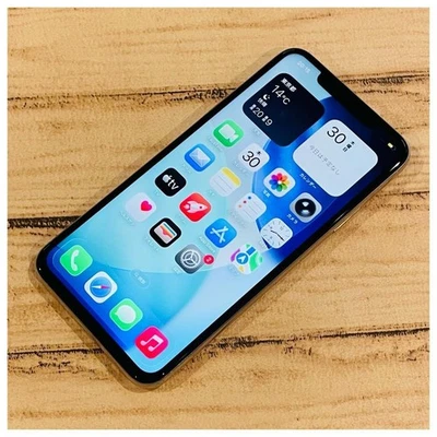 iPhone11ProMax 64GB Silver Unlocked SIM free Battery 100% Confirmed Operation52_ - Image 1 of 4